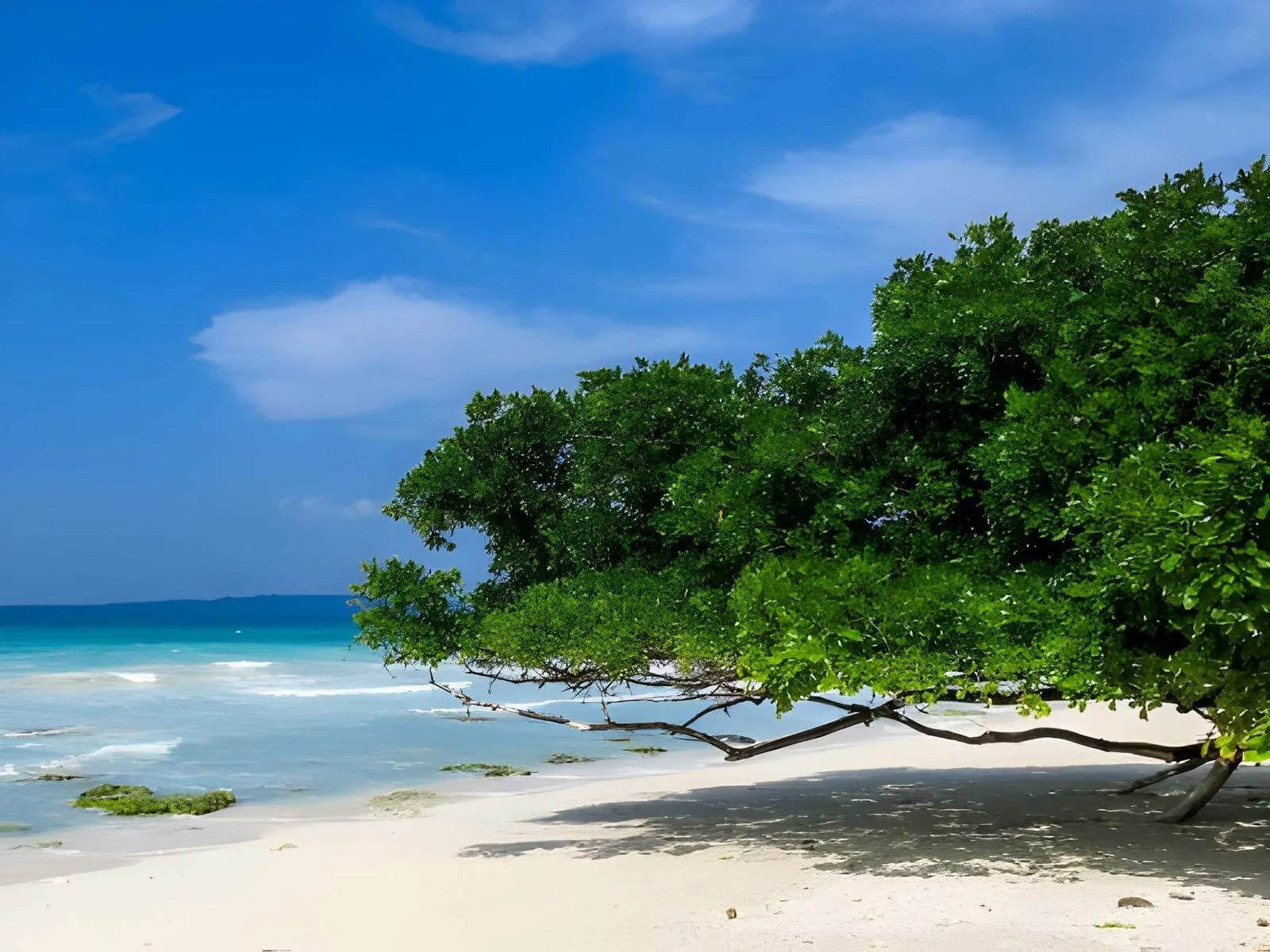 Radhanagar Beach, Swaraj Dweep